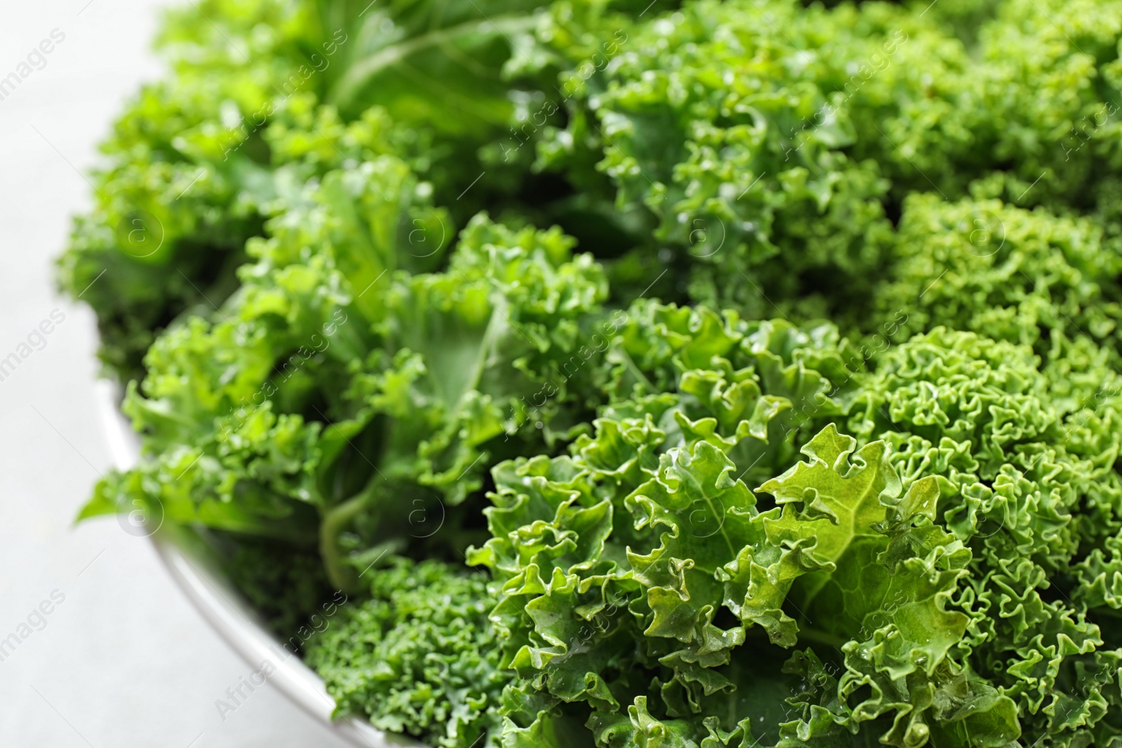 Photo of Fresh green kale leaves on white table, closeup