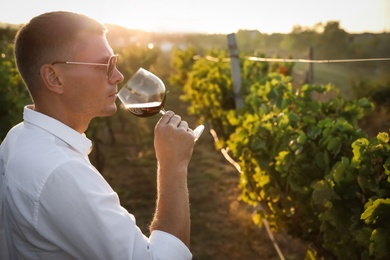 Photo of Handsome man tasting wine in vineyard on sunny day