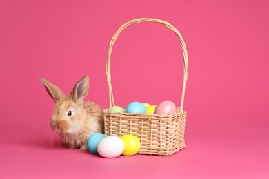 Photo of Adorable furry Easter bunny near wicker basket and dyed eggs on color background