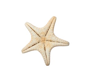 Photo of Beautiful sea star isolated on white. Beach object