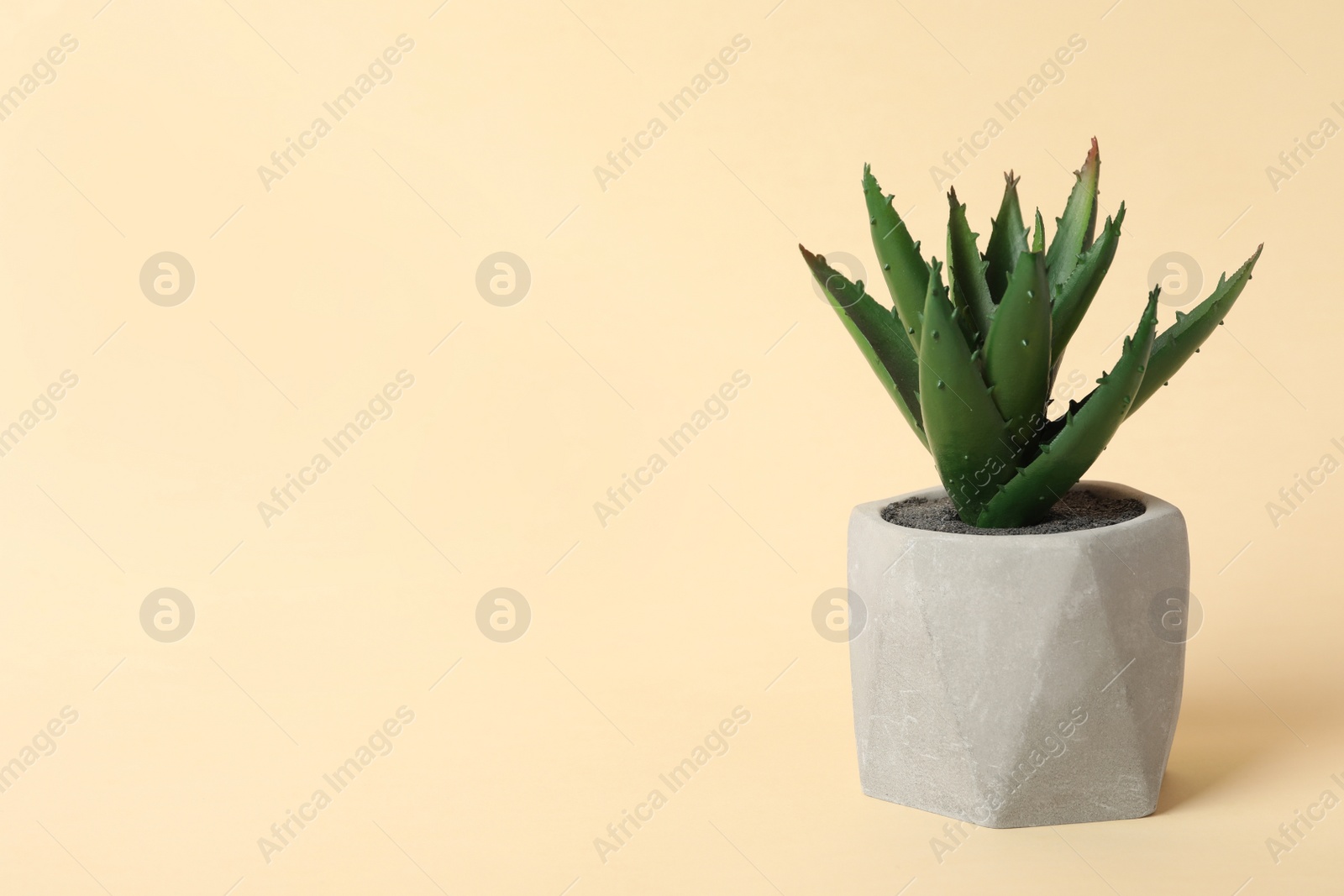 Photo of Beautiful artificial plant in flower pot on beige background, space for text