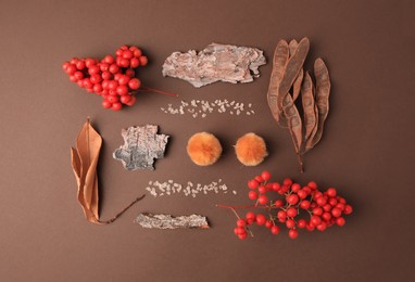 Photo of Flat lay composition with tree bark pieces, red viburnum berries and dry leaves on brown background