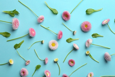 Photo of Flat lay composition with spring daisy flowers on color background