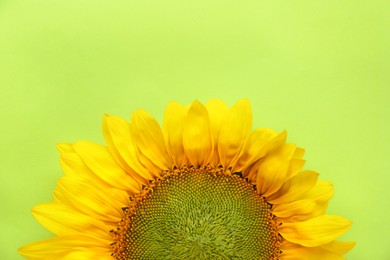 Beautiful sunflower on light green background, top view. Space for text