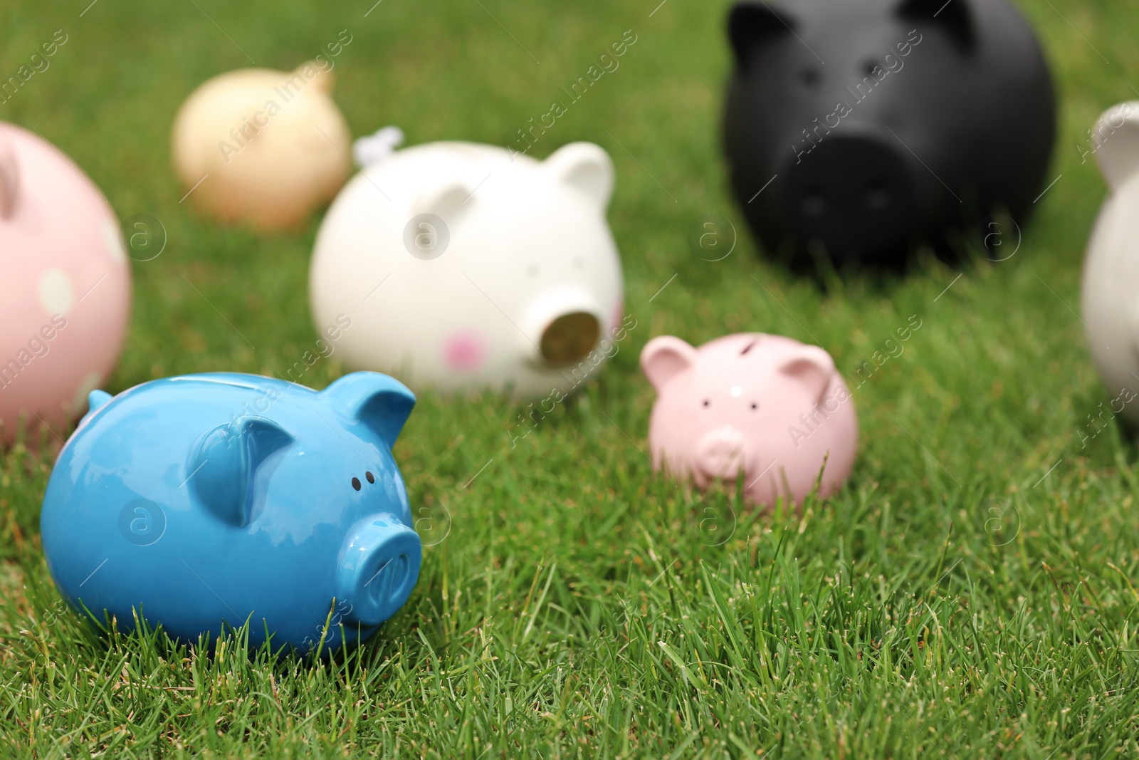 Photo of Different piggy banks on green grass outdoors