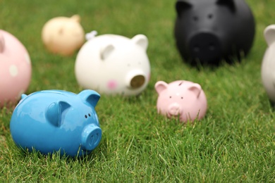 Photo of Different piggy banks on green grass outdoors