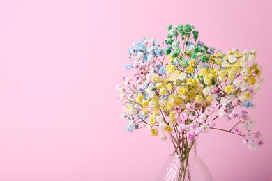 Photo of Beautiful dyed gypsophila flowers in glass vase on pink background. Space for text