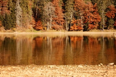 Beautiful mountain landscape with forest near water