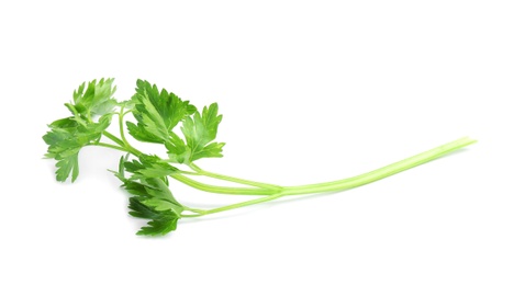 Photo of Leaves of fresh tasty parsley on white background