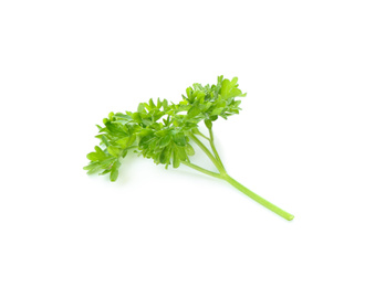 Photo of Fresh green curly parsley on white background