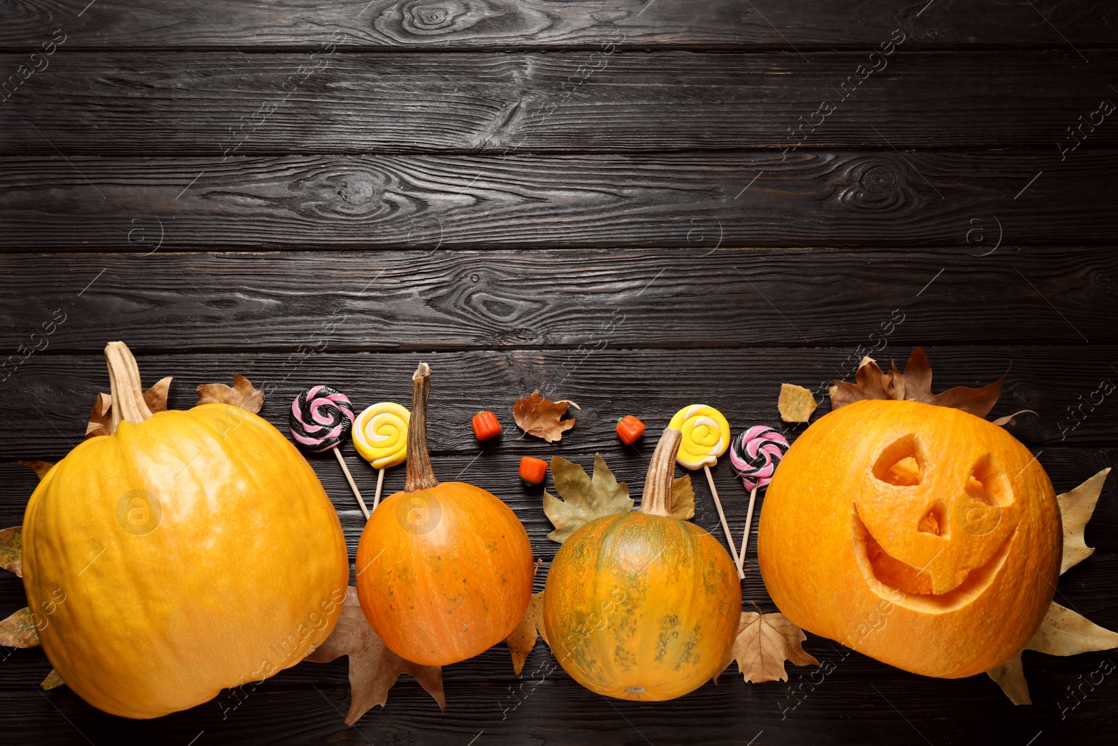 Photo of Flat lay composition with pumpkin head Jack lantern and Halloween treats on black wooden background. Space for text