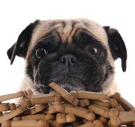 Cute dog and tasty bone shaped cookies on white background, closeup