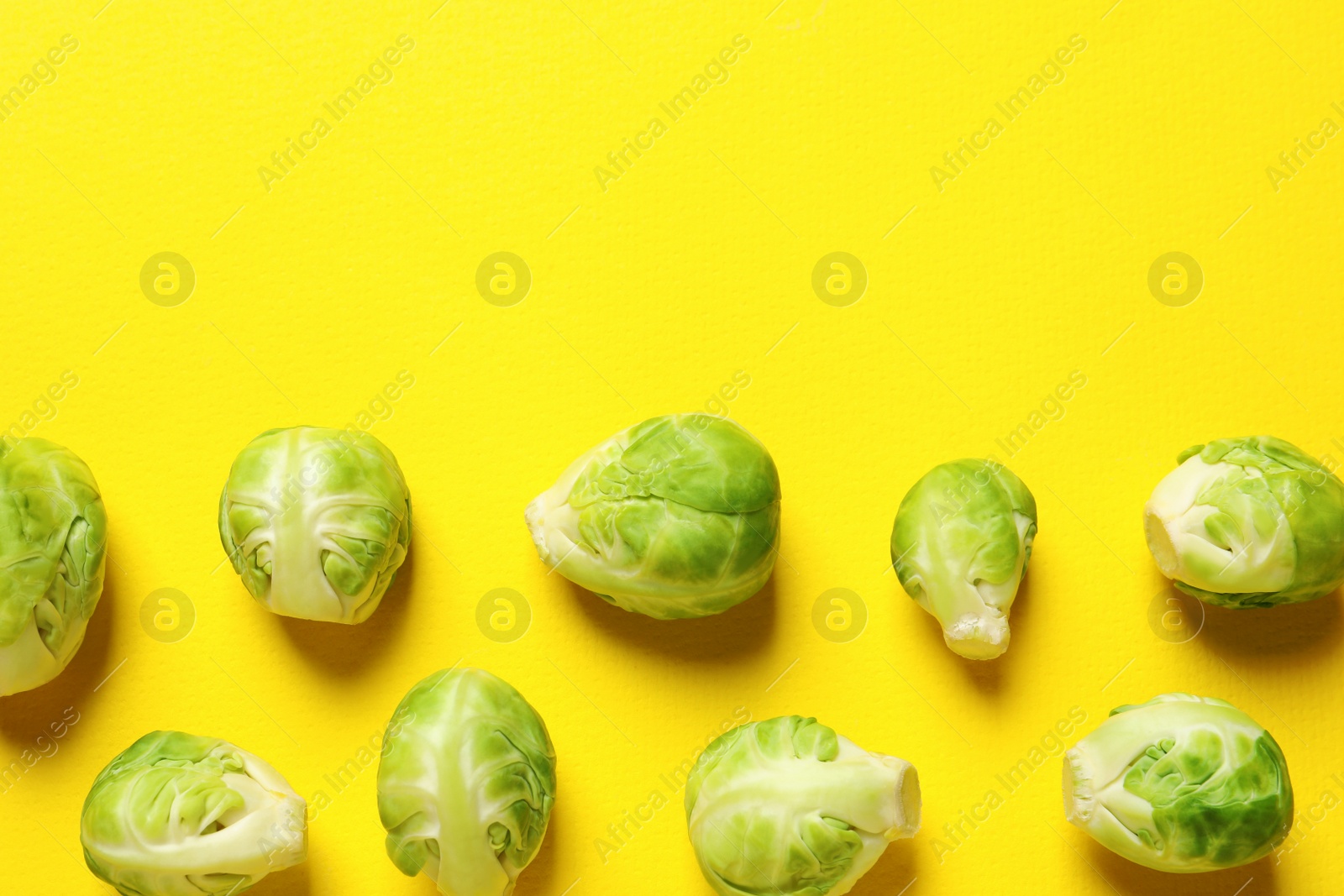 Photo of Fresh Brussels sprouts on color background, flat lay. Space for text