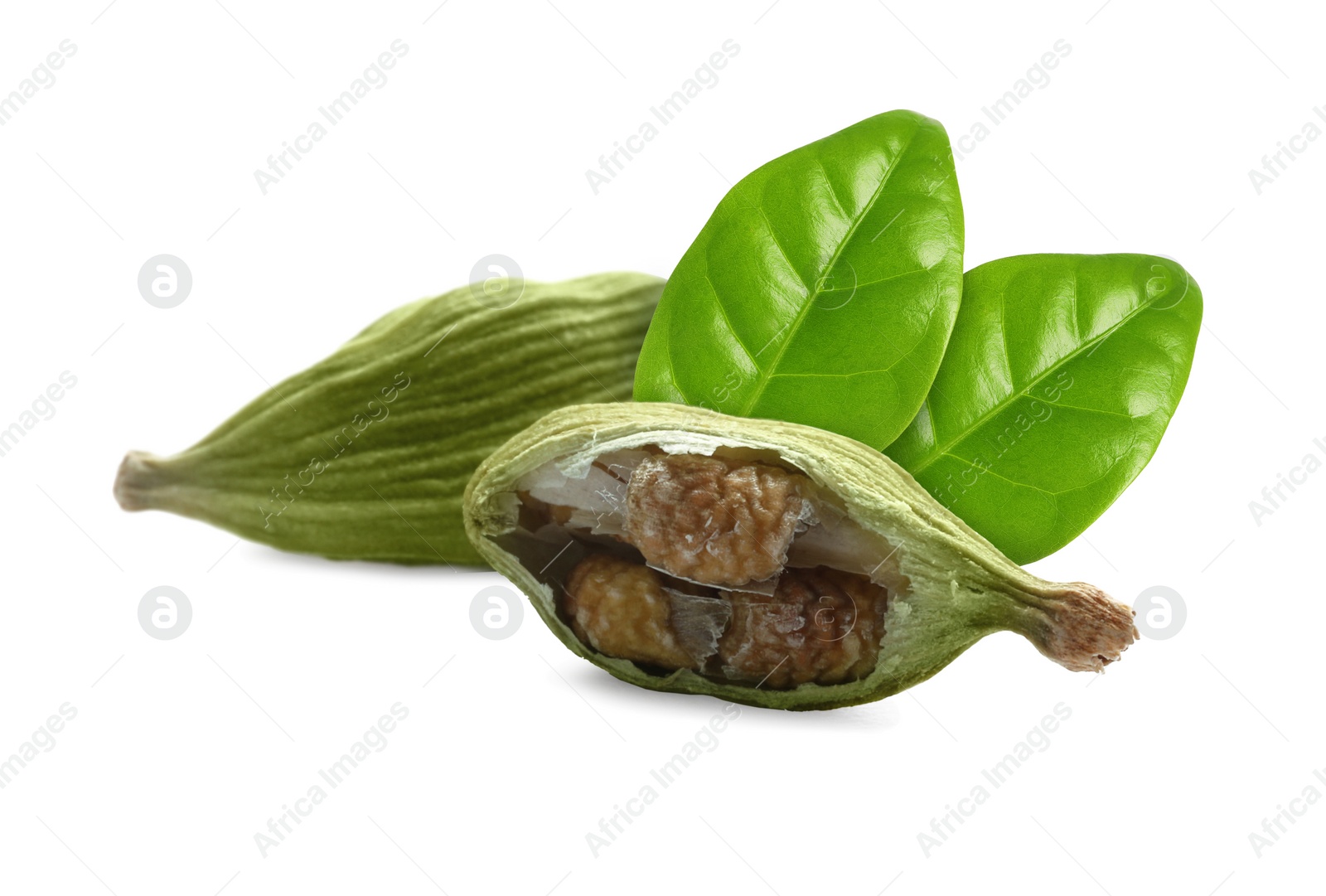 Image of Dry cardamom pods and green leaves on white background