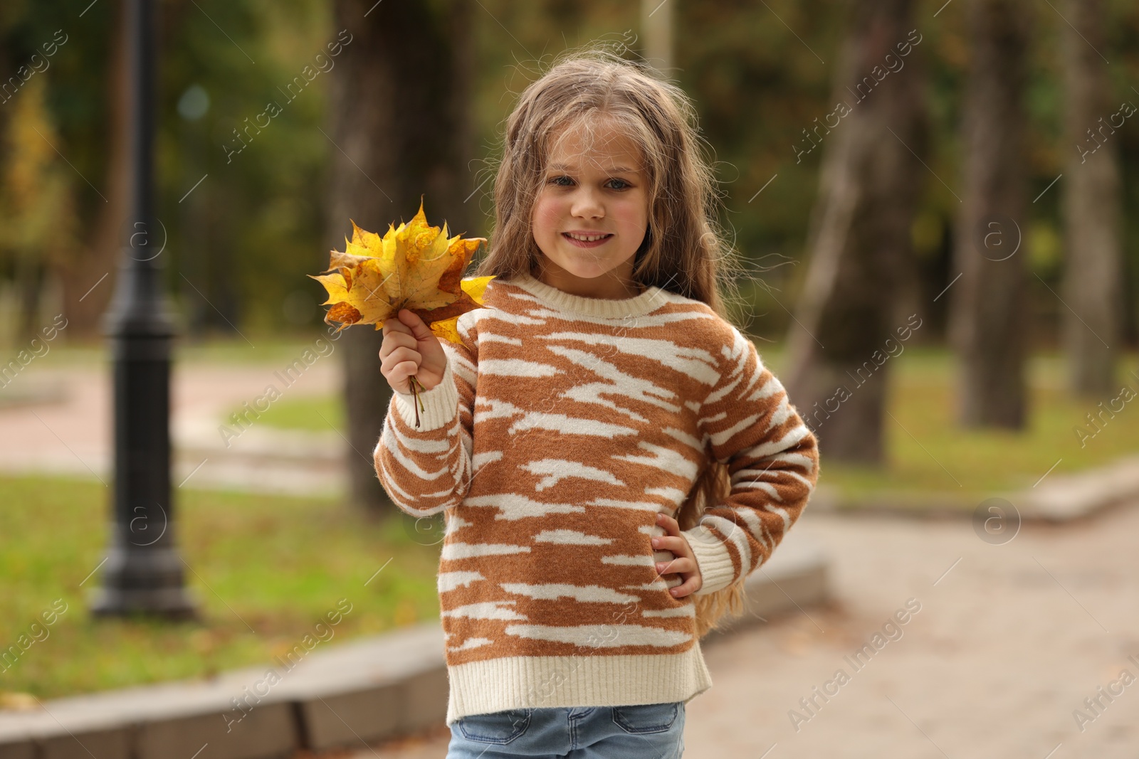 Photo of Portrait of happy girl with dry leaves in autumn park