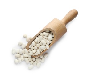 Wooden scoop with raw kidney beans on white background, top view