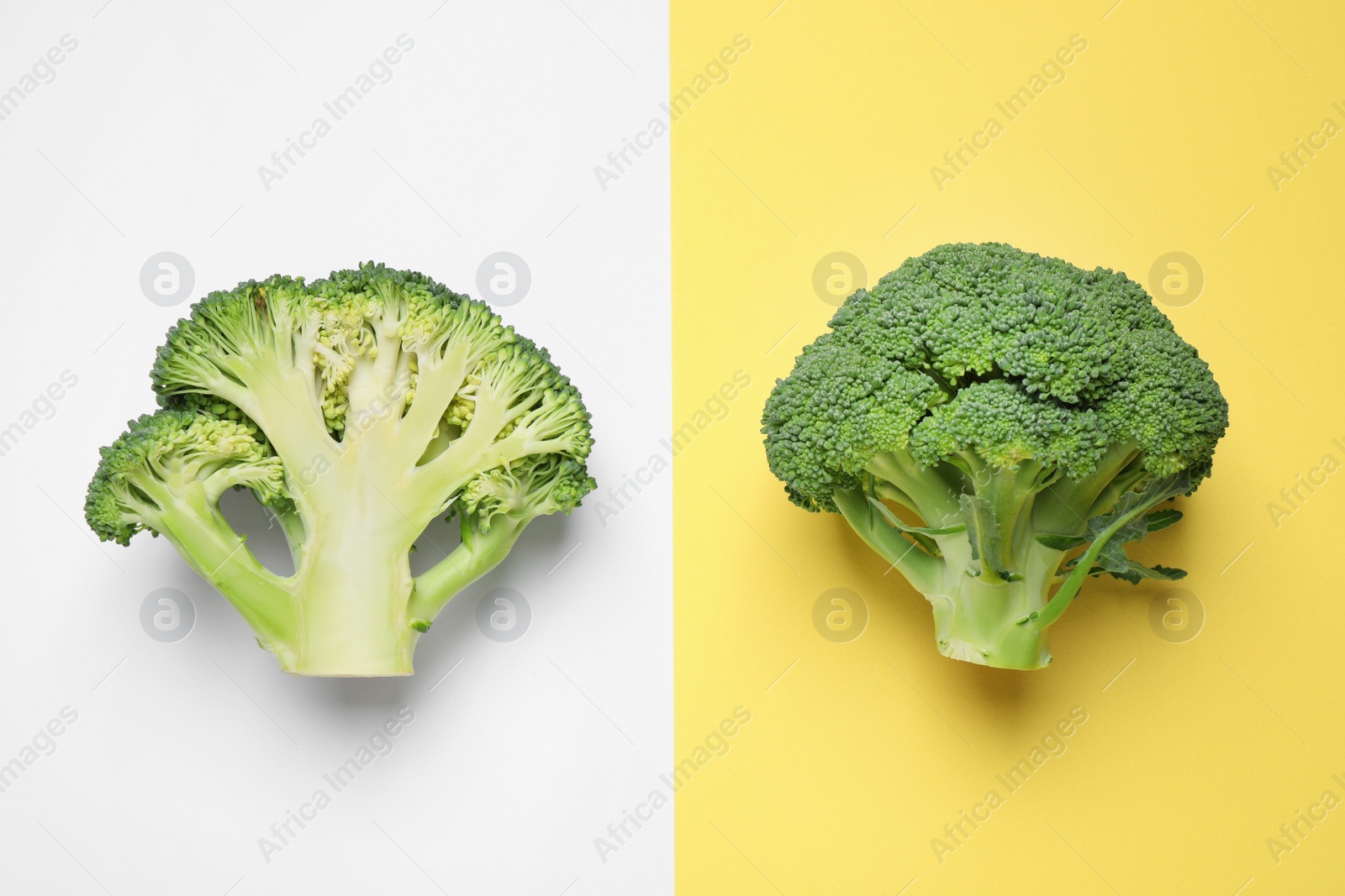 Photo of Fresh tasty broccoli on color background, flat lay