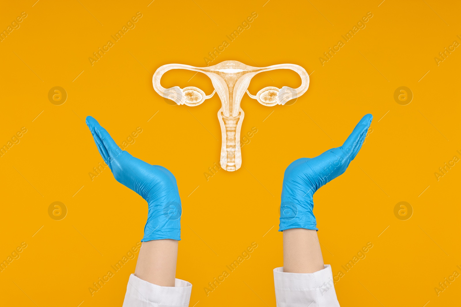 Image of Doctor and illustration of female reproductive system on orange background, closeup