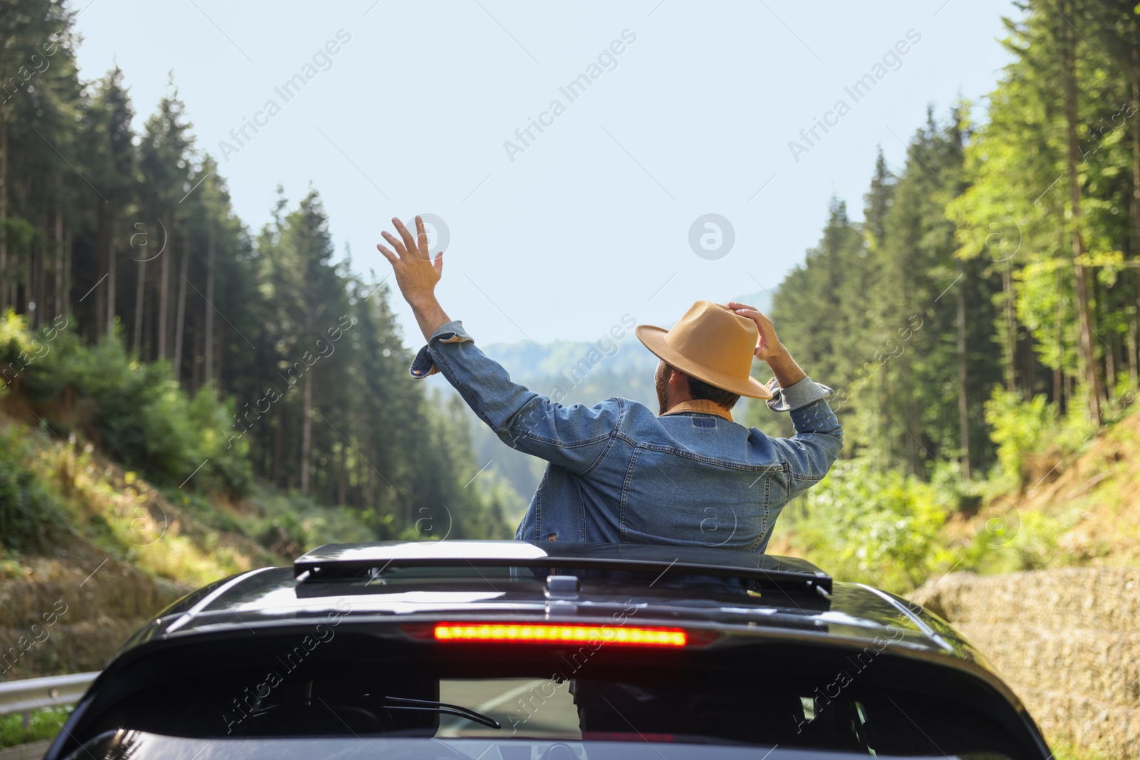 Photo of Enjoying trip. Man leaning out of car roof outdoors, back view