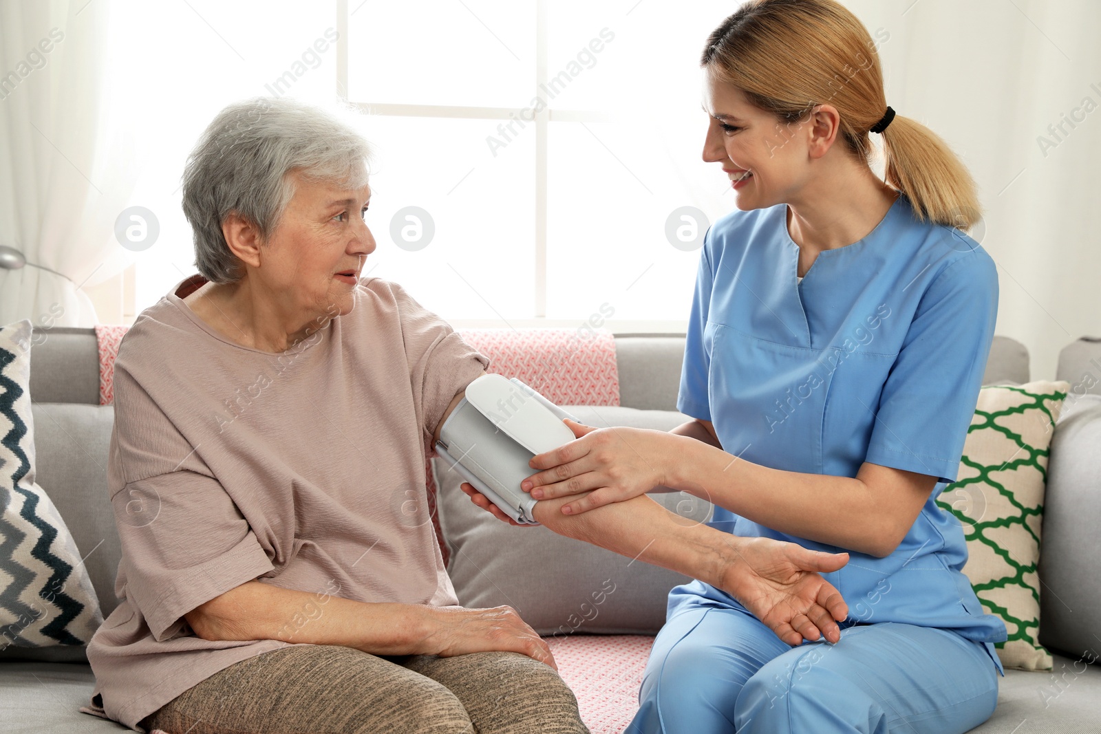 Photo of Nurse measuring blood pressure of elderly woman indoors. Assisting senior people