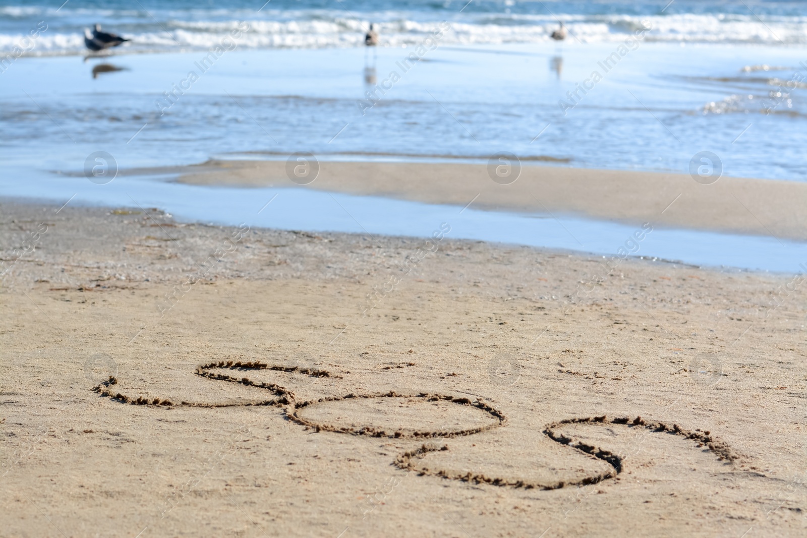 Photo of SOS message written on sand near sea