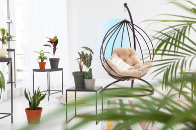 Photo of Living room interior with swing chair and indoor plants. Trendy home decor