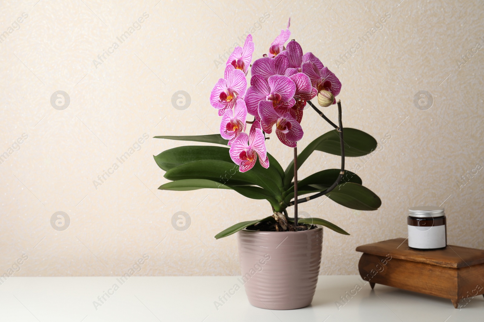 Photo of Beautiful blooming orchid, jar and old wooden jewelry box on white table near beige wall. Space for text