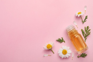 Flat lay composition with chamomile flowers and cosmetic bottle of essential oil on color background. Space for text