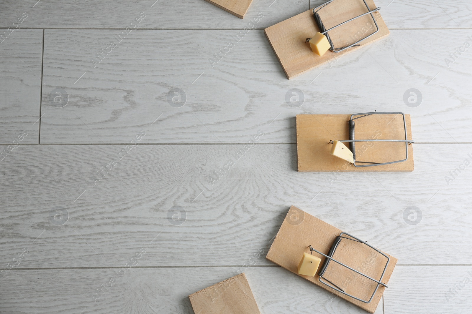 Photo of Mousetraps with pieces of cheese and space for text on white wooden background, flat lay. Pest control