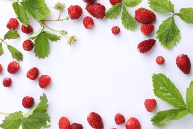 Frame of many fresh wild strawberries, flower and leaves on white background, flat lay. Space for text