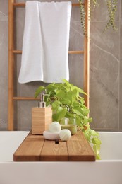 White tub with plant, soap dispenser and bath bombs in bathroom. Interior design