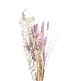 Photo of Bouquet of dried flowers on white background