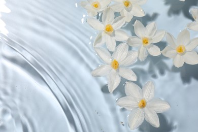 Beautiful daffodils in water on light blue background, top view. Space for text