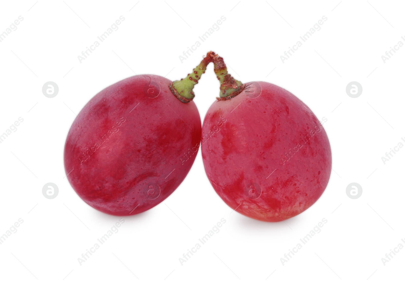 Photo of Two ripe red grapes isolated on white