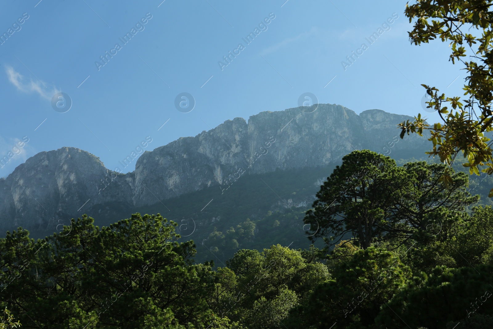 Photo of Big mountains and trees under cloudy sky