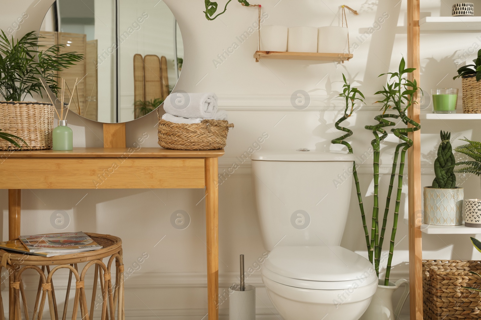 Photo of Stylish bathroom interior with toilet bowl and many beautiful houseplants