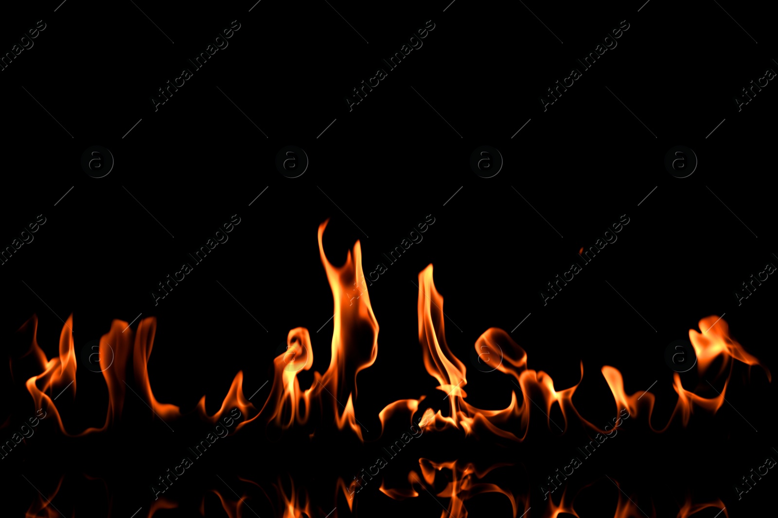 Photo of Beautiful bright fire flames on black background