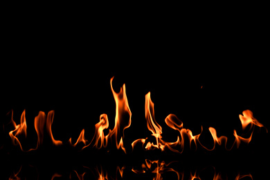 Photo of Beautiful bright fire flames on black background