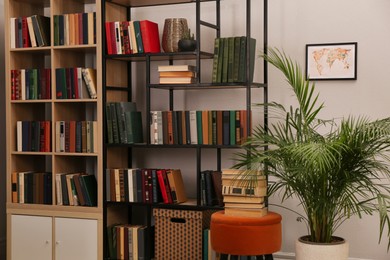 Photo of Cozy home library interior with collection of different books on shelves and beautiful houseplant