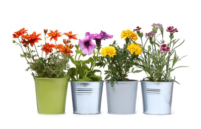 Photo of Different flowers in metal pots isolated on white