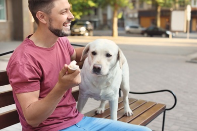 Photo of Owner treating his yellow labrador retriever with ice-cream outdoors
