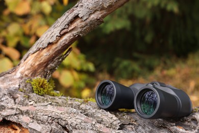 Binoculars on log in forest, space for text