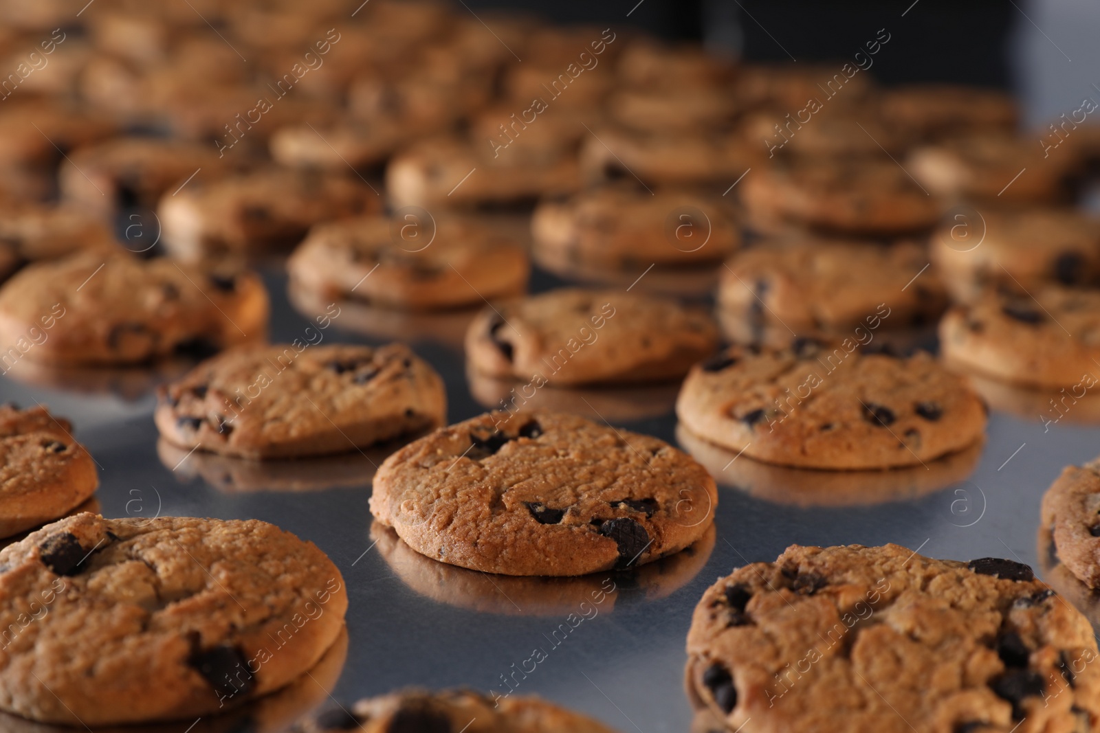 Photo of Many delicious cookies on production line, closeup