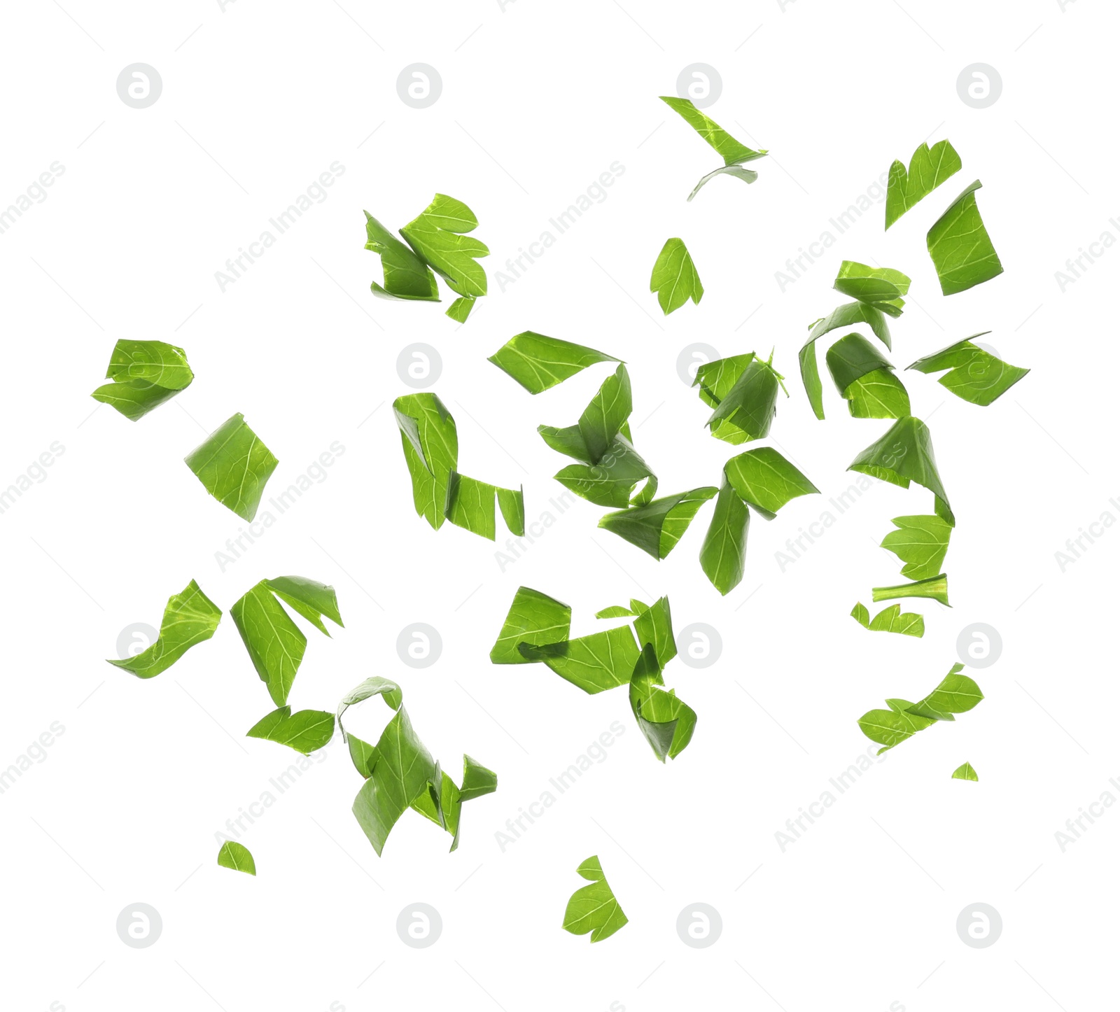 Photo of Cut fresh green parsley on white background