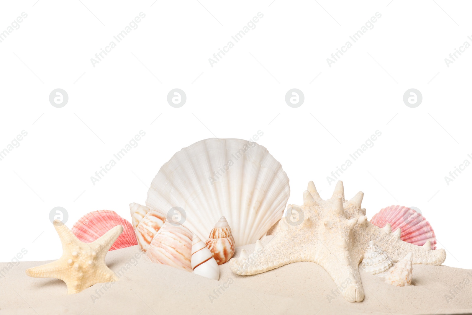 Photo of Beautiful starfishes and sea shells in sand on white background