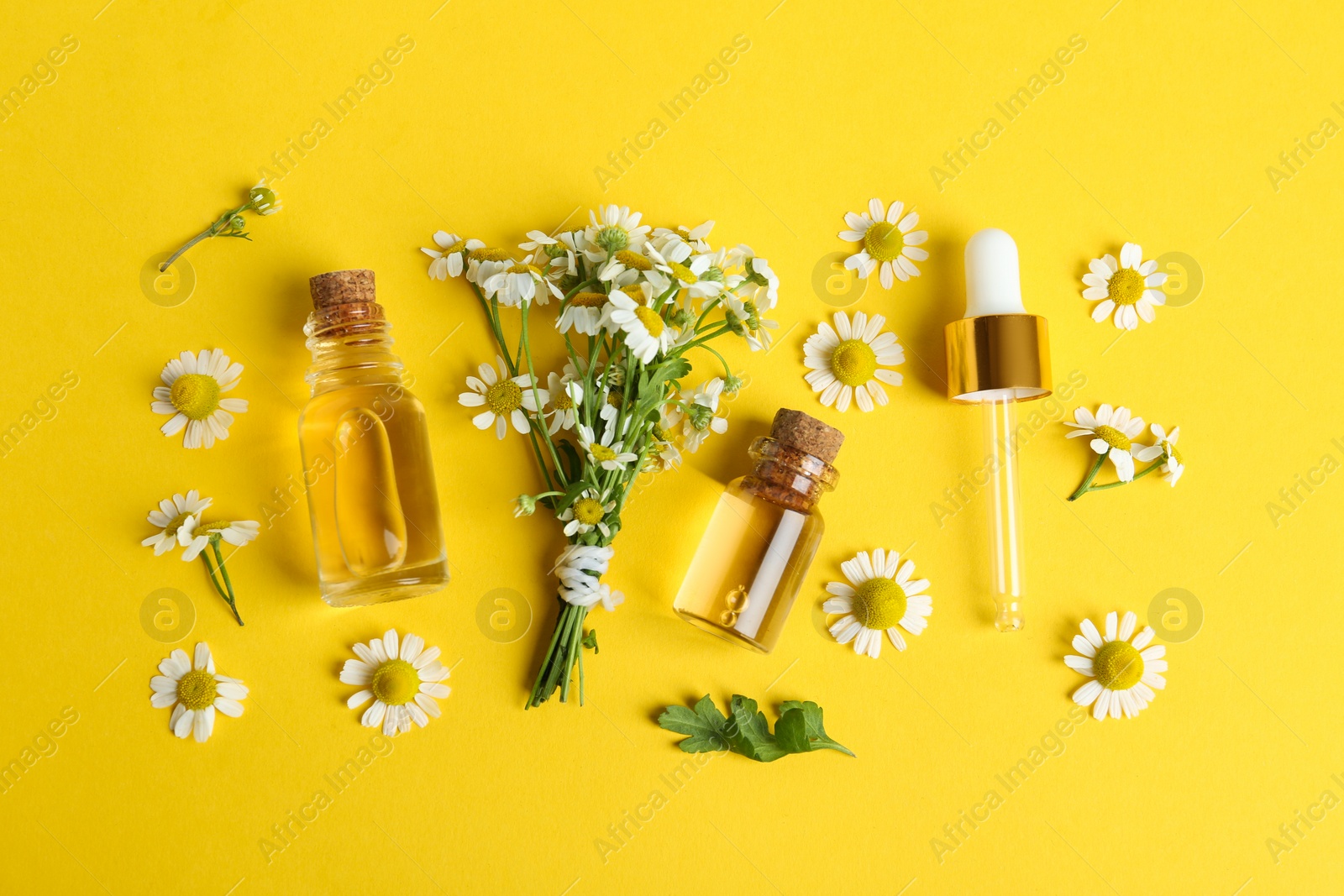 Photo of Flat lay composition with chamomile essential oil on yellow background