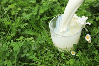 Photo of Pouring fresh milk into glass on green grass outdoors, closeup. Space for text
