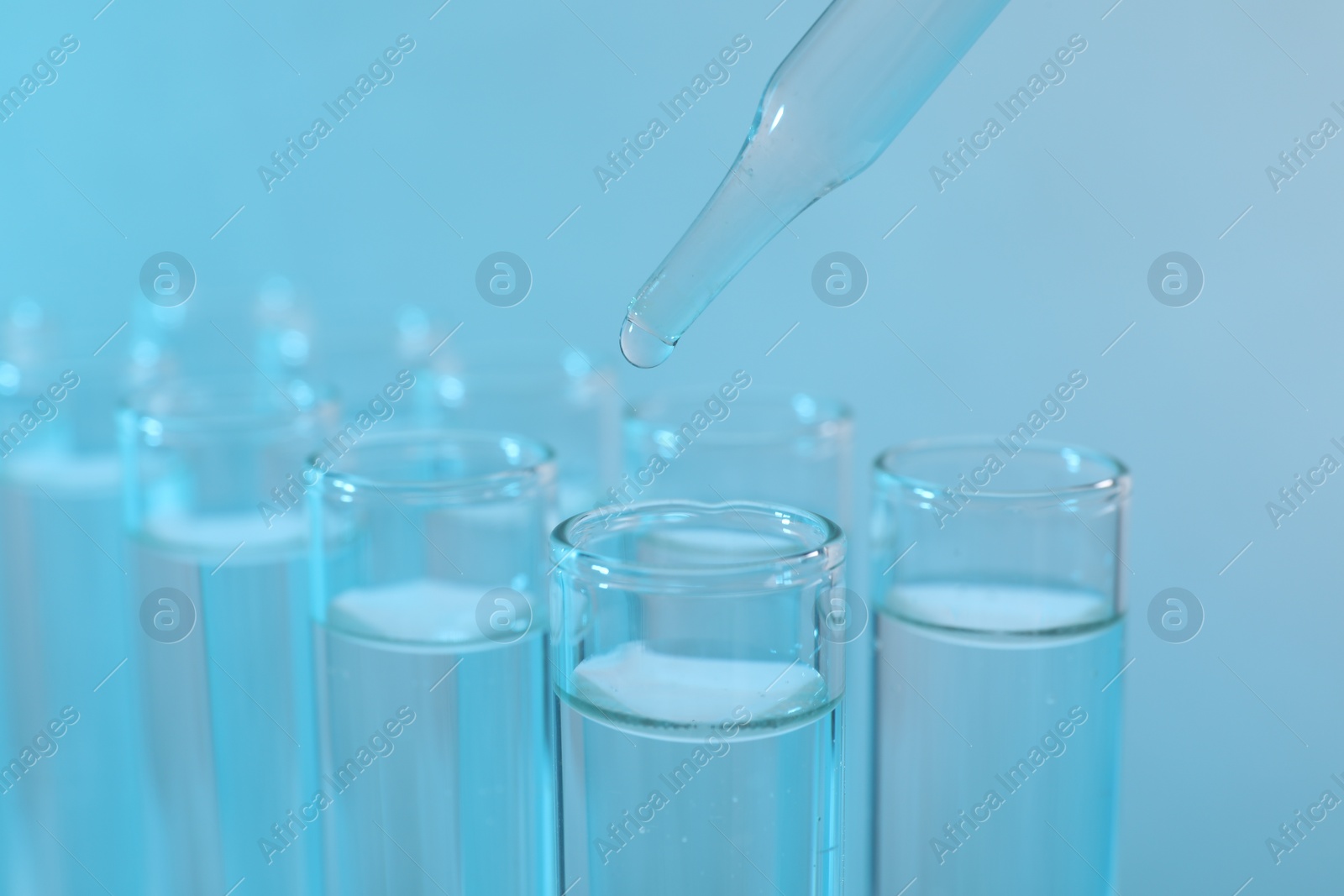 Photo of Laboratory analysis. Dripping reagent into test tube on light blue background, closeup