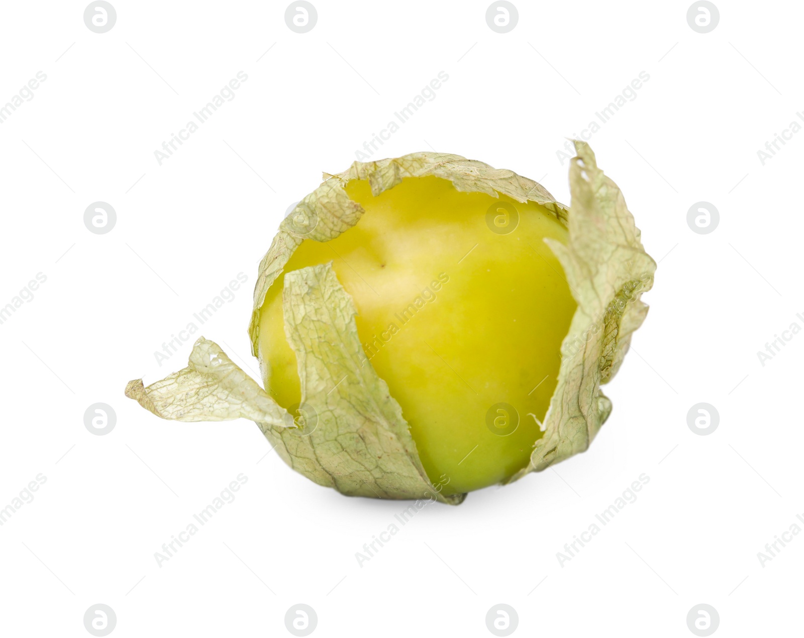 Photo of Fresh green tomatillo with husk isolated on white