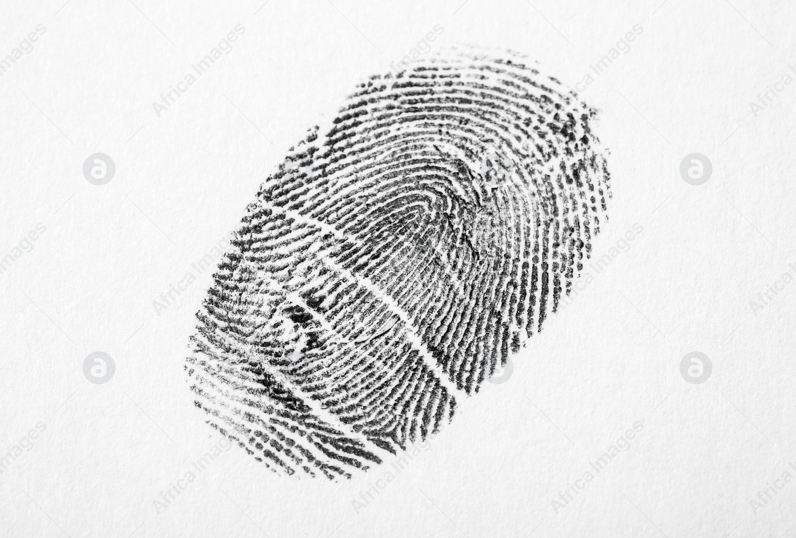 Photo of Black fingerprint on white background. Friction ridge pattern